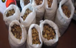 Zece saci cu măciulii de mac, depistate de poliţie la Floreşti